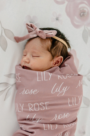 LILY-1