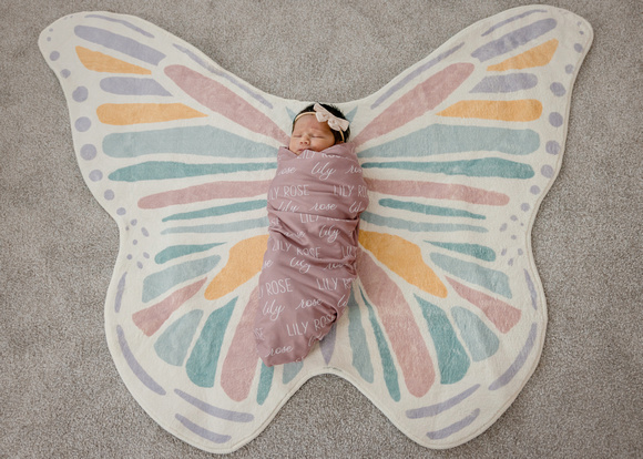LILY-8